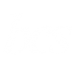 Britannia Consultants Services Ltd logo on transparent